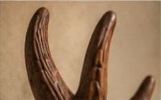Antler carving