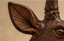 Ear detail