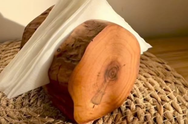 Wood Log Tissue Holder