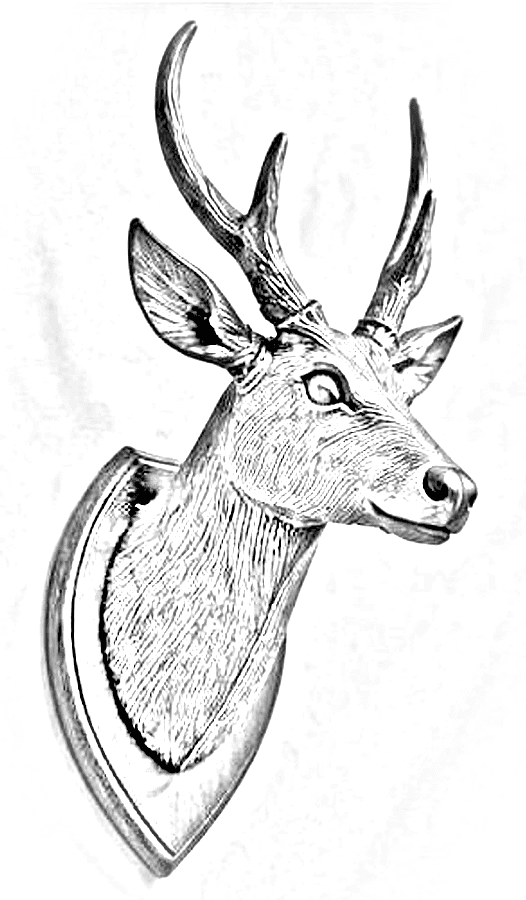 Pencil sketch of Deer Head Wall Mount