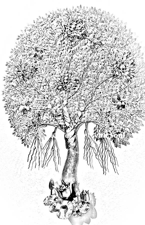 Pencil sketch of Kalpavriksha Tree of Life