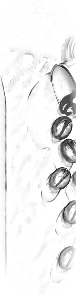 Pencil sketch of Spilled Coffee Bean Wall Art